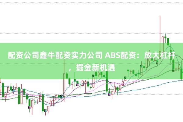 配资公司鑫牛配资实力公司 ABS配资：放大杠杆，掘金新机遇