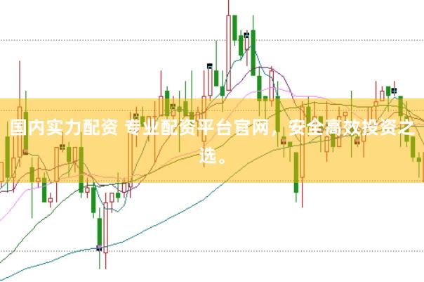 国内实力配资 专业配资平台官网，安全高效投资之选。