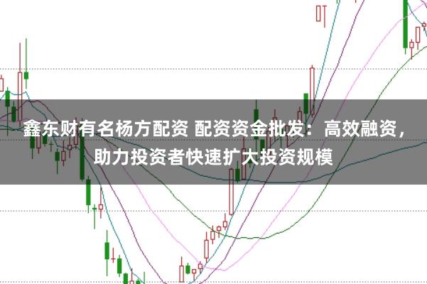 鑫东财有名杨方配资 配资资金批发：高效融资，助力投资者快速扩大投资规模