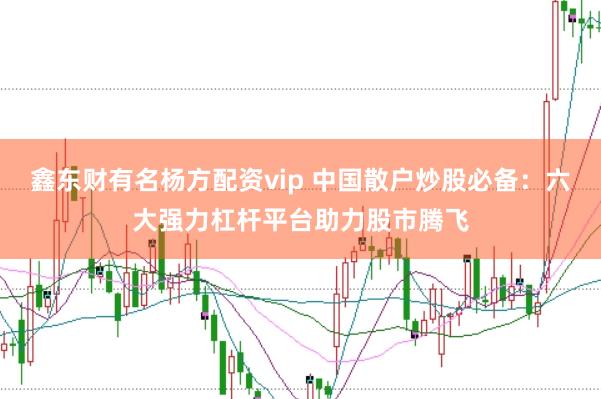 鑫东财有名杨方配资vip 中国散户炒股必备：六大强力杠杆平台助力股市腾飞
