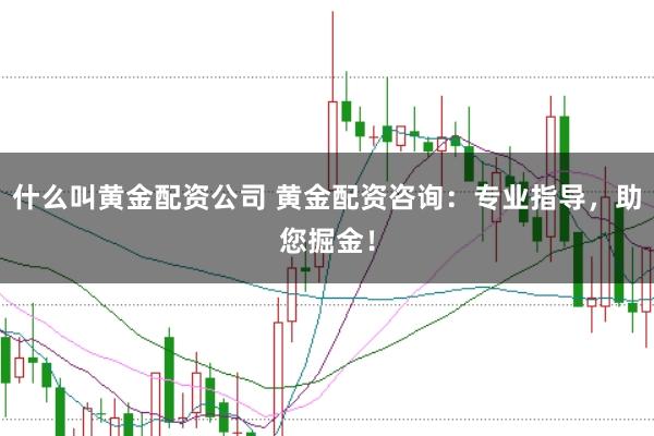 什么叫黄金配资公司 黄金配资咨询：专业指导，助您掘金！