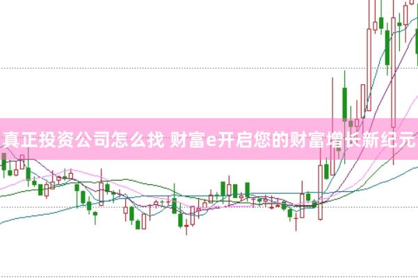 真正投资公司怎么找 财富e开启您的财富增长新纪元