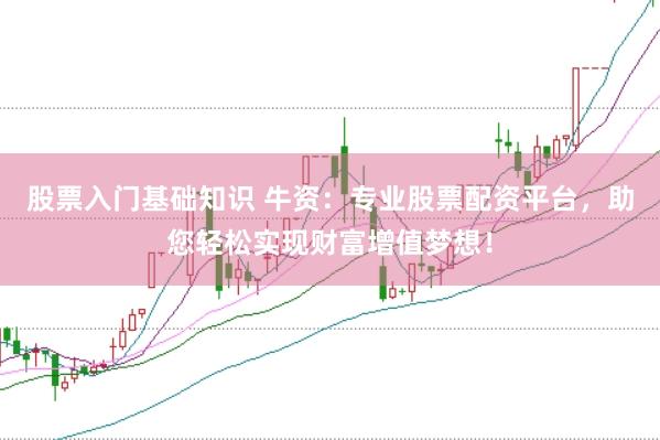 股票入门基础知识 牛资：专业股票配资平台，助您轻松实现财富增值梦想！